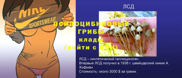 экстази Краснослободск