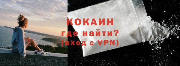 шишки Краснотурьинск