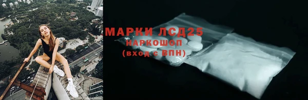 шишки Краснотурьинск