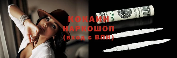 шишки Краснотурьинск