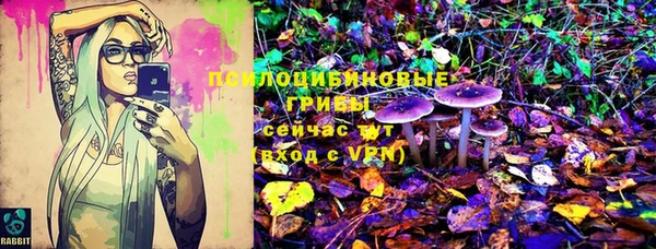 шишки Краснотурьинск