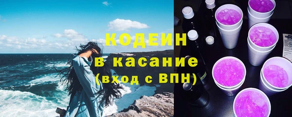шишки Краснотурьинск