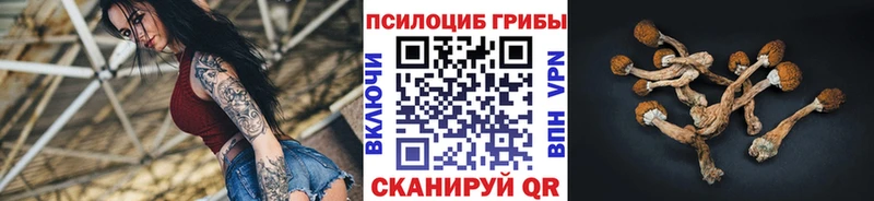 Купить закладки  Зеленокумск  Галлюциногенные грибы Psilocybe 